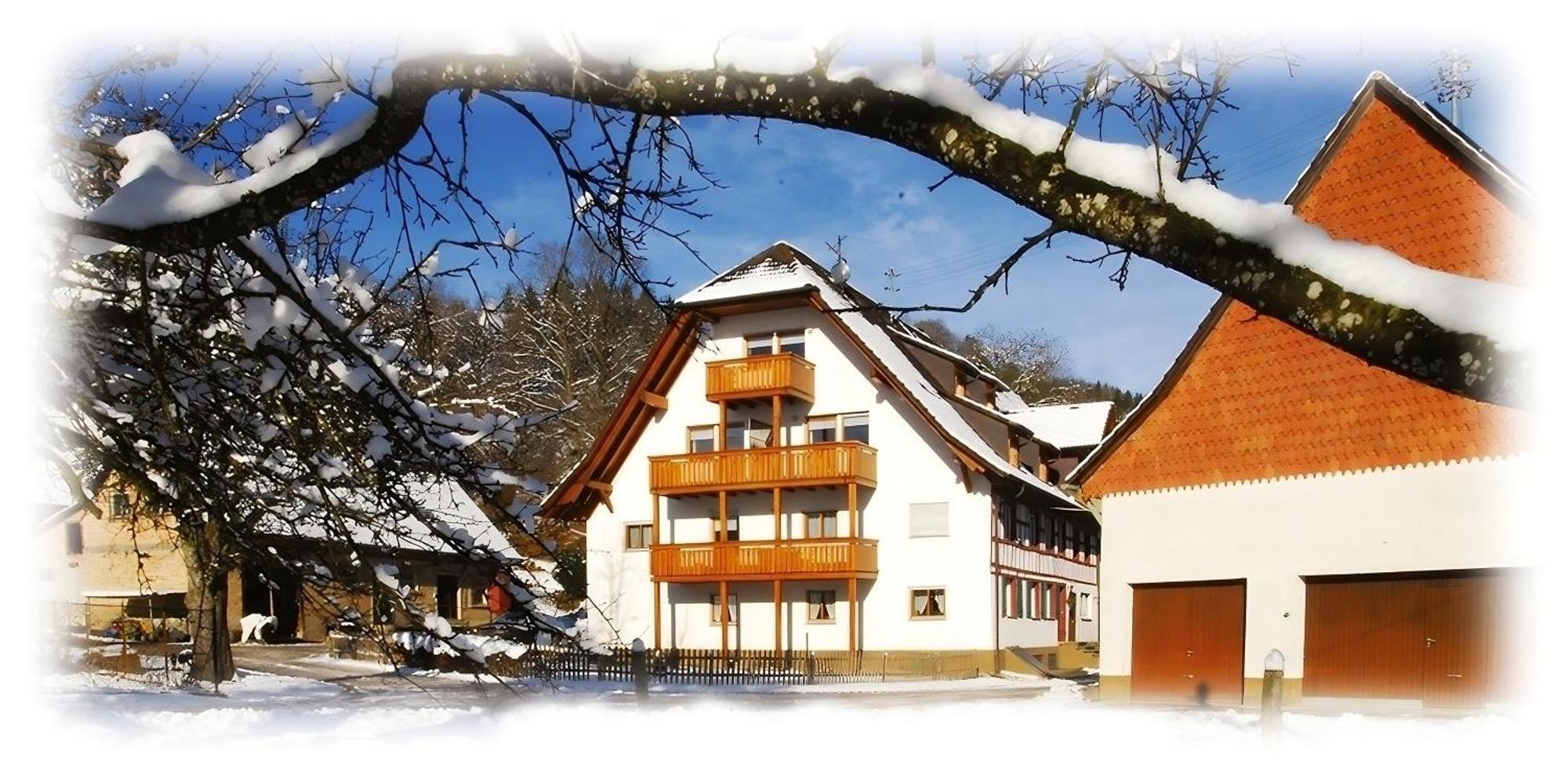 Mayer Burghoefe Owingen 外观 照片