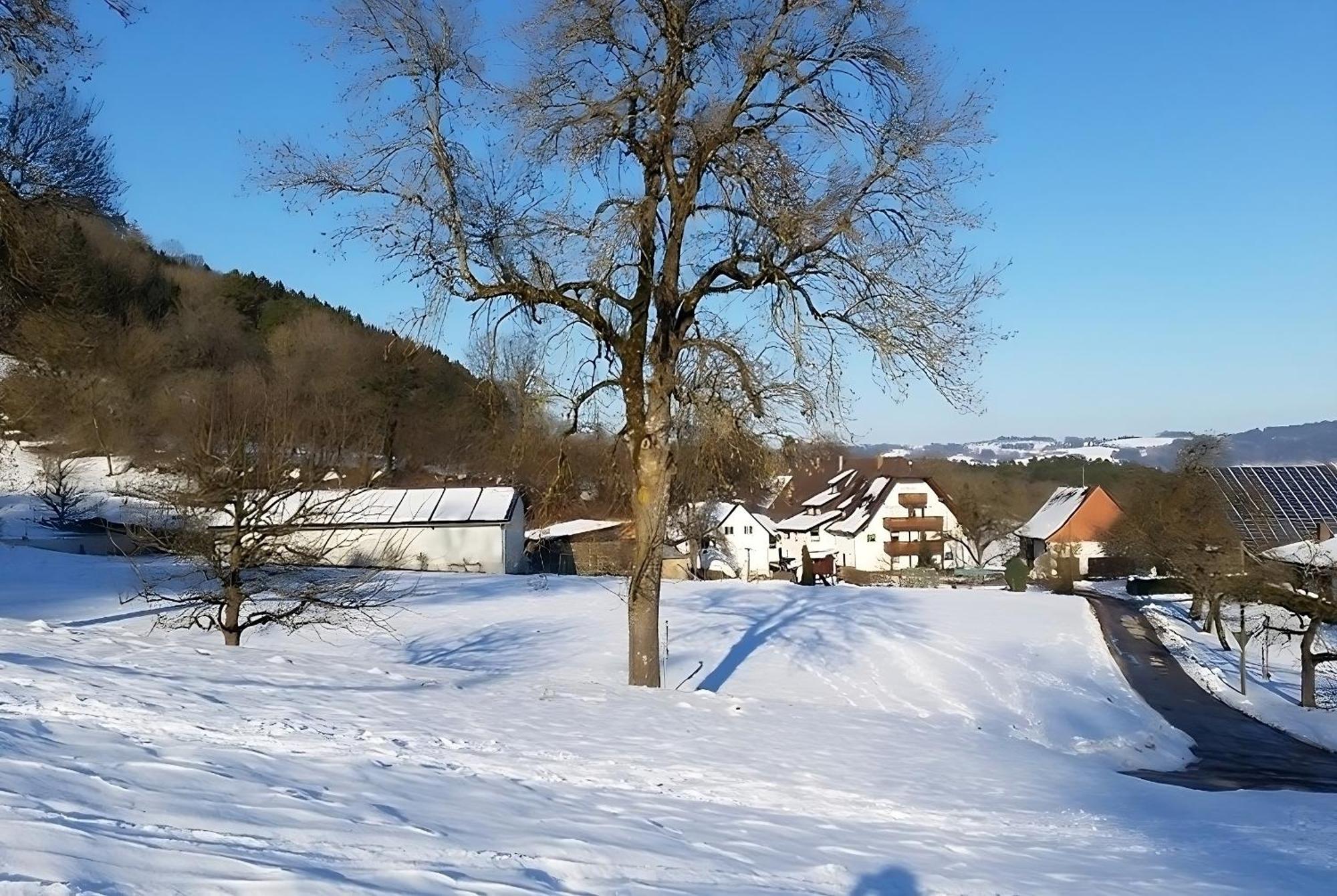 Mayer Burghoefe Owingen 外观 照片